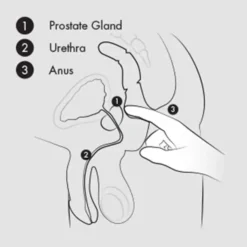 Aneros Helix Syn V Prostaat Vibrator -Vibrators winkel Aneros1 0d929f86 e382 49b6 b764 6cef4e8fa859