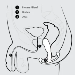 Aneros Helix Syn V Prostaat Vibrator -Vibrators winkel Aneros2 66d1985b 2603 4fbc 875b 2431713dafcf
