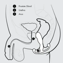 Aneros Progasm Prostaat Stimulator Black Ice -Vibrators winkel Aneros2 98926db3 639e 4dba 91fa 34a7711f6ed7